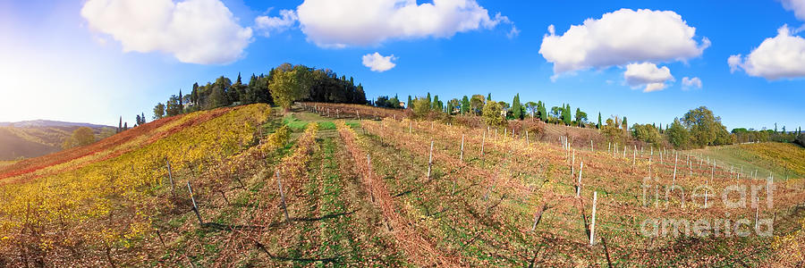 Panorama of the vineyards of Serravalle vines Digital Art by Benny Marty
