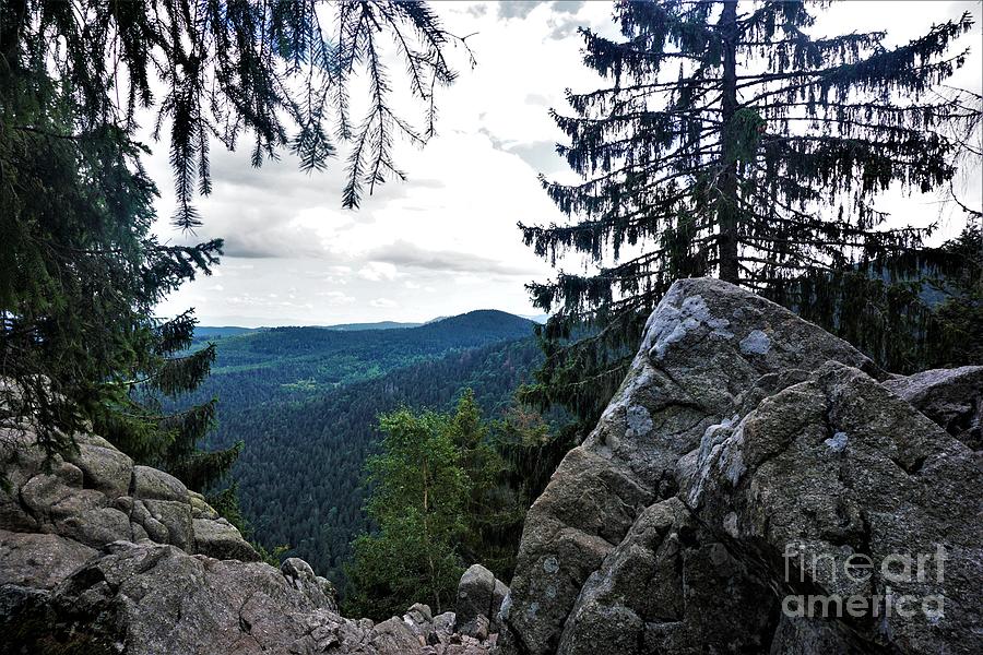 Panorama Of The Vosges From The Sentiers Des Roches Near The Col De La Schlucht Photograph