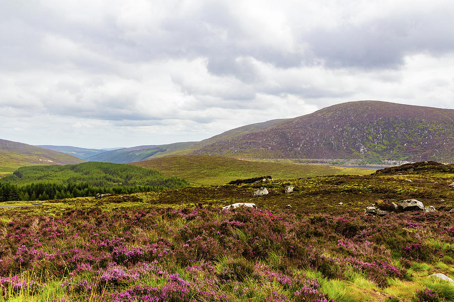 Panorama Of Wicklow Mountains Photograph