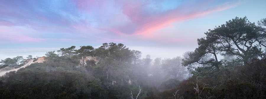 San Diego Photograph - Panorama on the Hills of Torrey Pines by William Dunigan