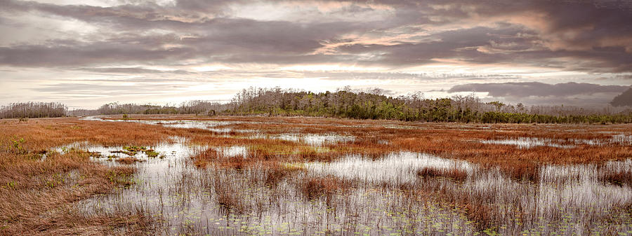 Panorama Overlooking the Gentle Marsh Photograph by Debra and Dave Vanderlaan