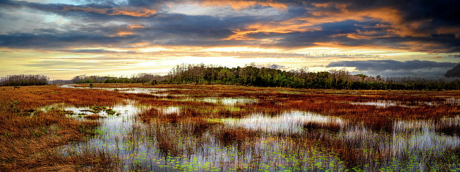 Panorama Overlooking the Marsh Photograph by Debra and Dave Vanderlaan