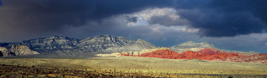 Nature Photograph - Panorama Red Rocks Nevada by Frank Wilson