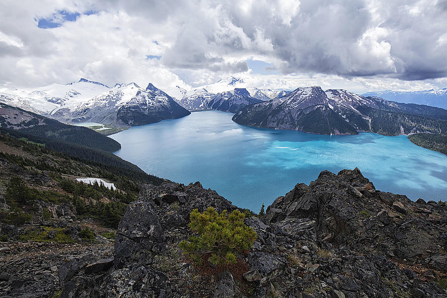 Panorama Ridge in summer, BC, Canada Photograph by LeonU