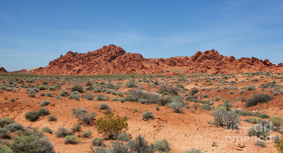 Nature Photograph - Panorama Valley of Fire Overton Nevada  by Chuck Kuhn