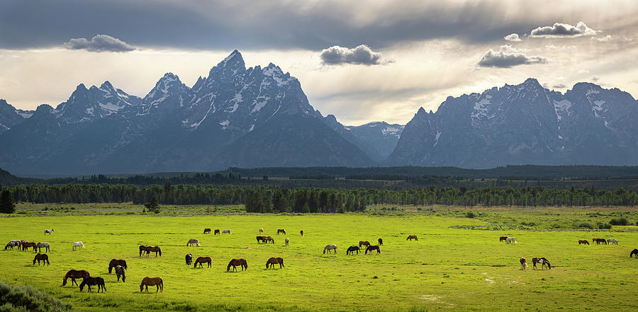 Panorama Views from The Tetons Photograph by Joan Escala-Usarralde