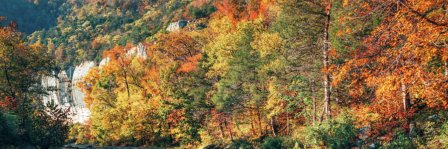 Panoramic Autumn At Roark Bluff Photograph by Gregory Ballos