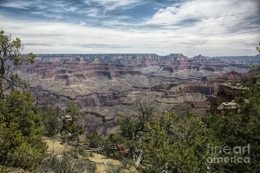 Grand Canyon National Park Photograph - Panoramic Grand Canyon Color  by Chuck Kuhn