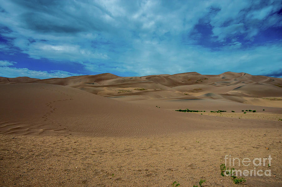 Panoramic Great Sand Dunes Photograph by Stephen Whalen