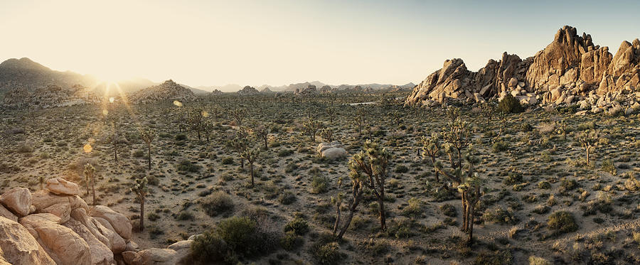 Panoramic high desert landscape at sunset Photograph by Justin Lewis