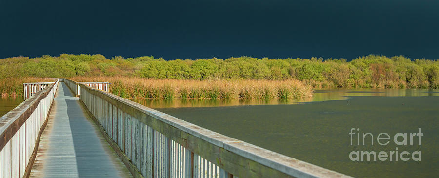 Panoramic landscape of lake and long wooden boardwalk through the lake  Photograph by Hanna Tor