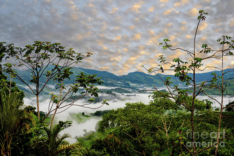 Panoramic mountain view of the rainforest and jungle landscape in Costa Rica with the sun setting ov Photograph by Gunther Allen