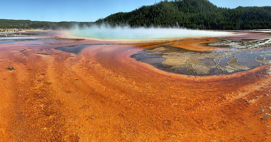 Panoramic Orange Earth at Grand Prismatic Springs Yellowstone Photograph by Marilyn Hunt