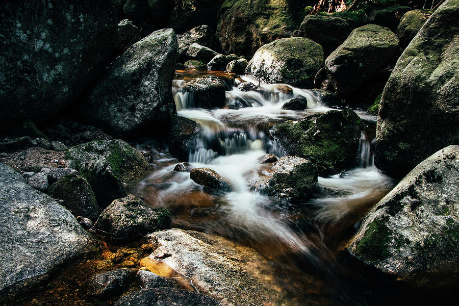Picturesque river hidden in the Jizera Mountains Photograph by Vaclav Sonnek