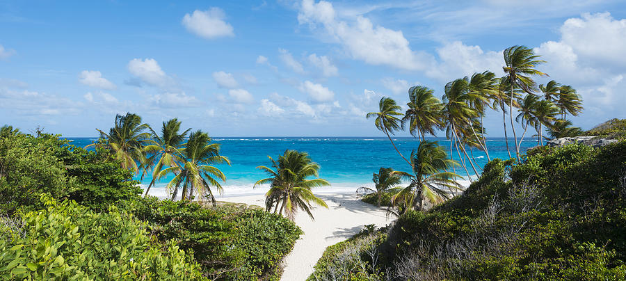 Panoramic View of Bottom Bay Beach and Palm Trees in Barbados Photograph by Deejpilot
