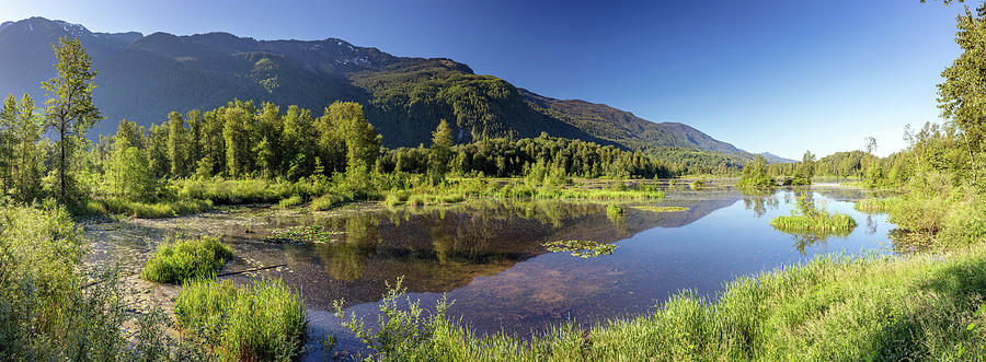 Panoramic view of Cheam Lake Wetlands Photograph by Pierre Leclerc Photography