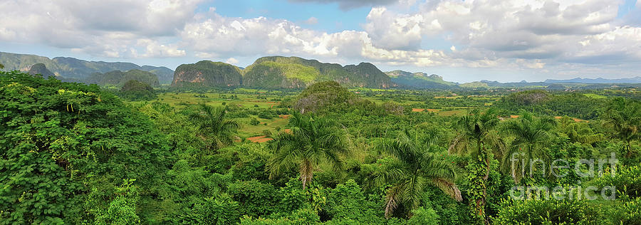 Panoramic view of Cuban green rain forest  Photograph by Mendelex Photography