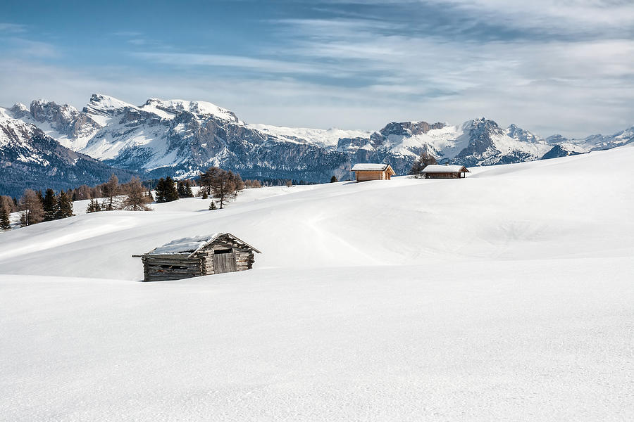 Panoramic view of Dolomiti in Seiser Alm Photograph by PJPhoto69
