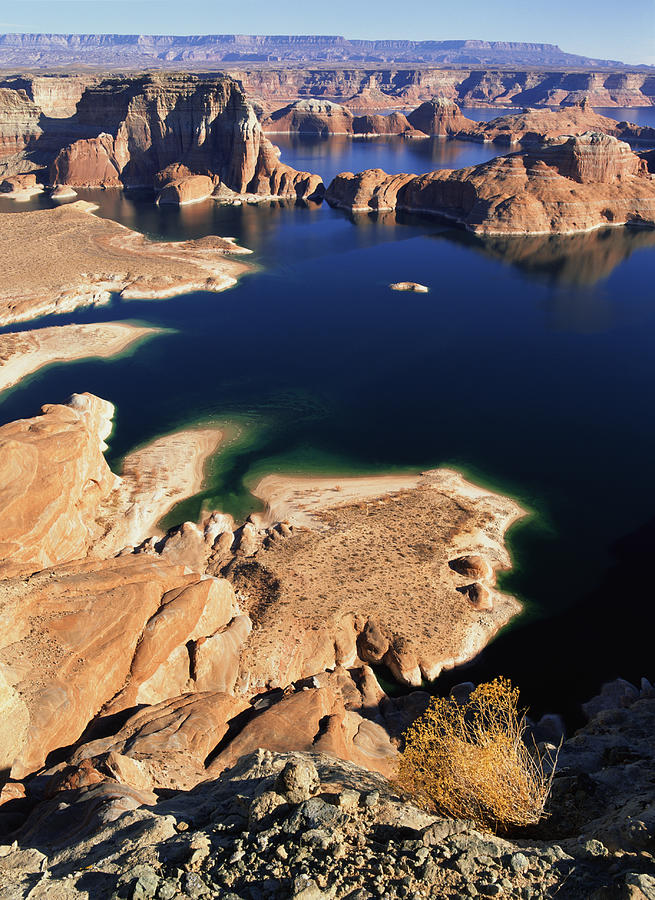 Panoramic View Of Lake Powell Near Page Arizona With Red Rock Formations In The Distance And The Dark Blue Water Showing The Contour Of The Canyons Photograph by Rubberball