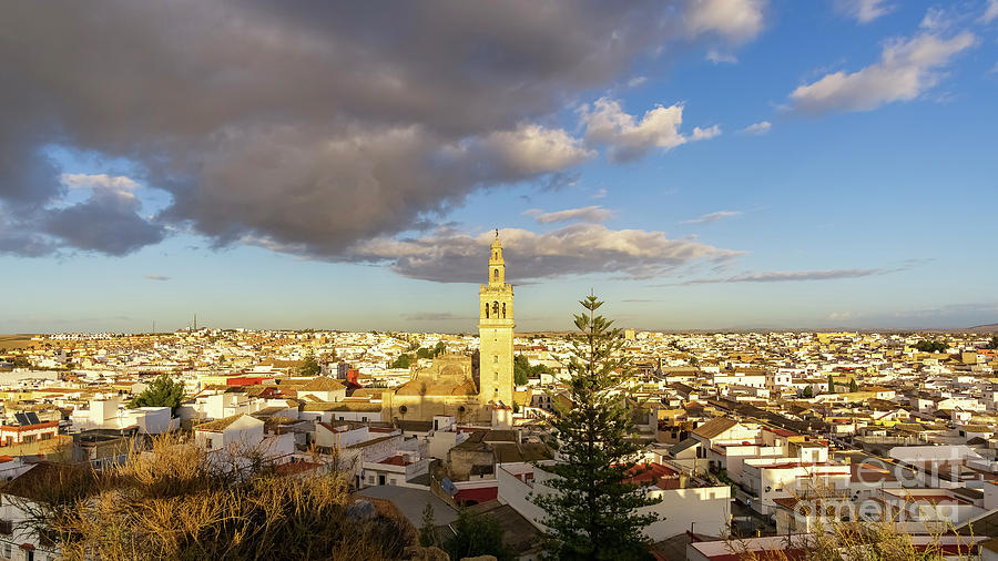 Panoramic View of Lebrija in the Spanish Province of Seville Photograph by Pablo Avanzini