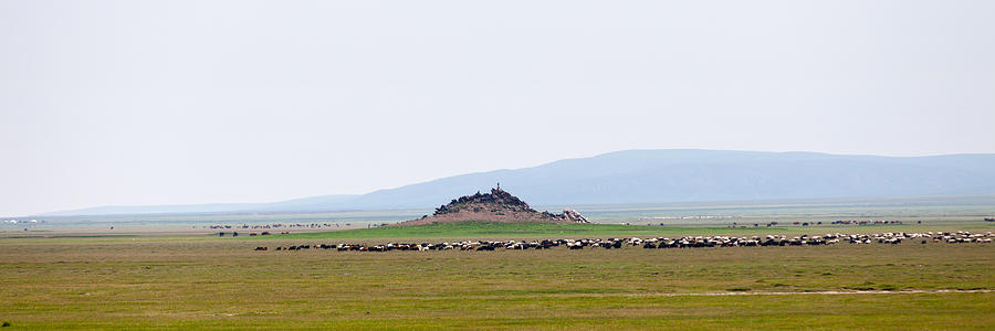 Panoramic view of the steppes of Mongolia Photograph by Gwengoat
