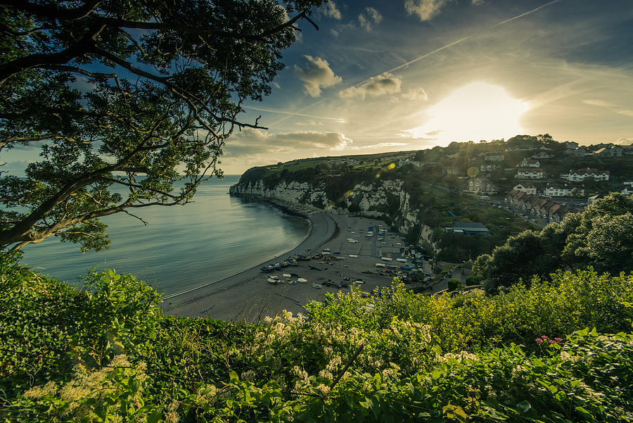 Panoramic view over Beer village in Devon,UK Photograph by Merc67