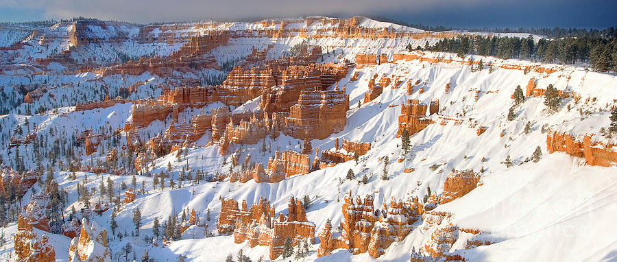 Panoramic Winter Hoodoos Bryce Canyon National Park Ut Photograph by Dave Welling