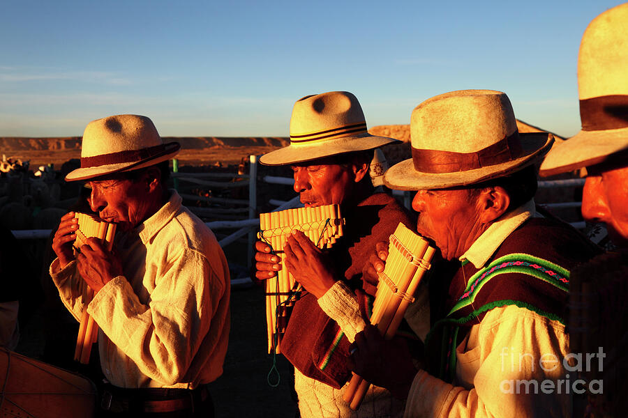 Panpipe Musicians in Altiplano Oruro Region Bolivia Photograph by James Brunker