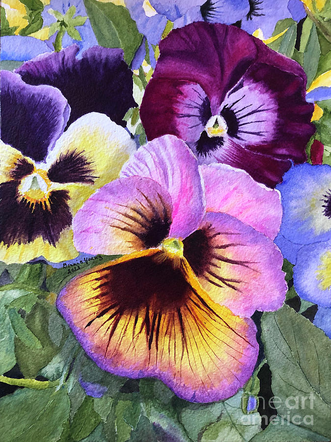 Pansies Painting by Bonnie Young