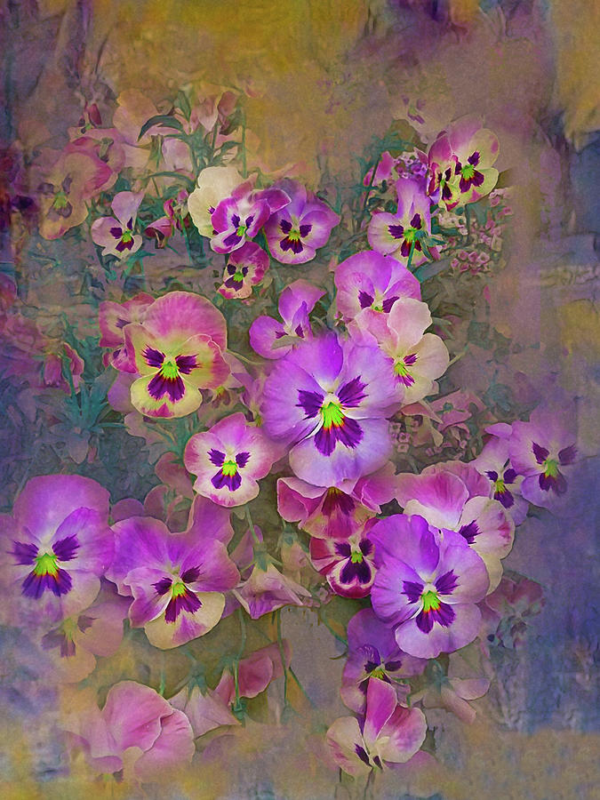 Pansies of summer Photograph by Jeff Burgess