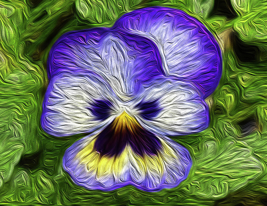 Pansy Oil Painting Photograph