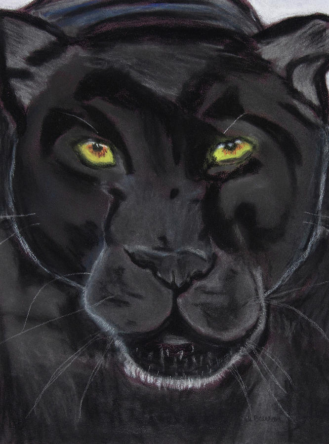 Panther Drawing - Panther by Ali Baucom