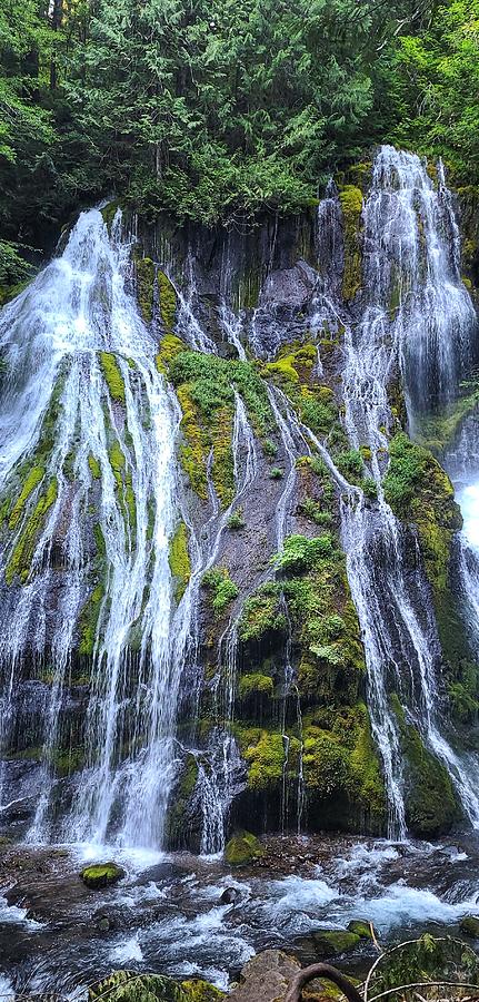 Panther Creek Falls  Photograph by William Slider