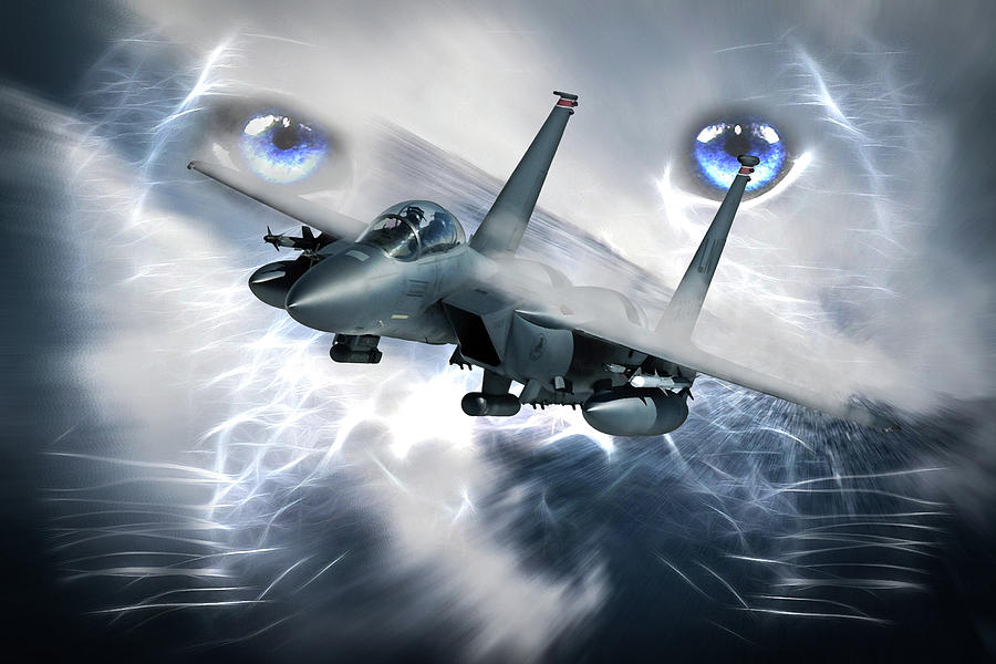 Eagle Digital Art - Panther F-15 Eagle by Airpower Art