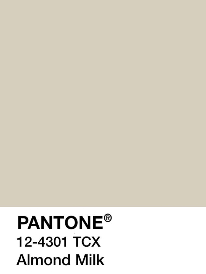 PANTONE Almond Milk TanBeige stars Painting by Kimberly Lee | Fine Art ...