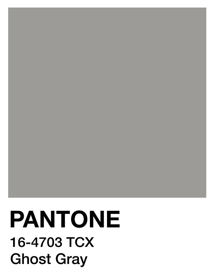 Pantone Ghost Gray funny Painting by Thomas Shaw | Fine Art America