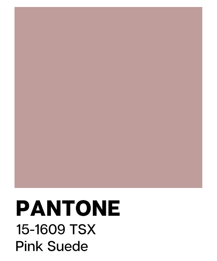 Pantone Pink Suede hippie Painting by Oliver David - Fine Art America