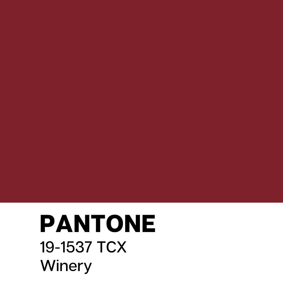 Pantone Winery Painting by Carlie Evans | Fine Art America