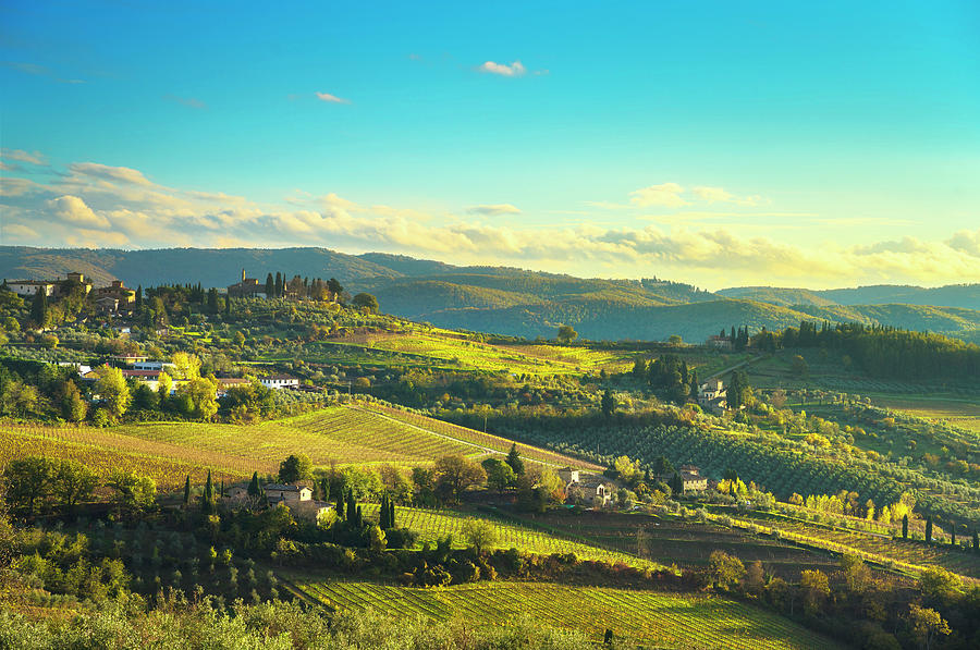 Panzano in Chianti Vineyards Panoramic View Photograph by Stefano Orazzini