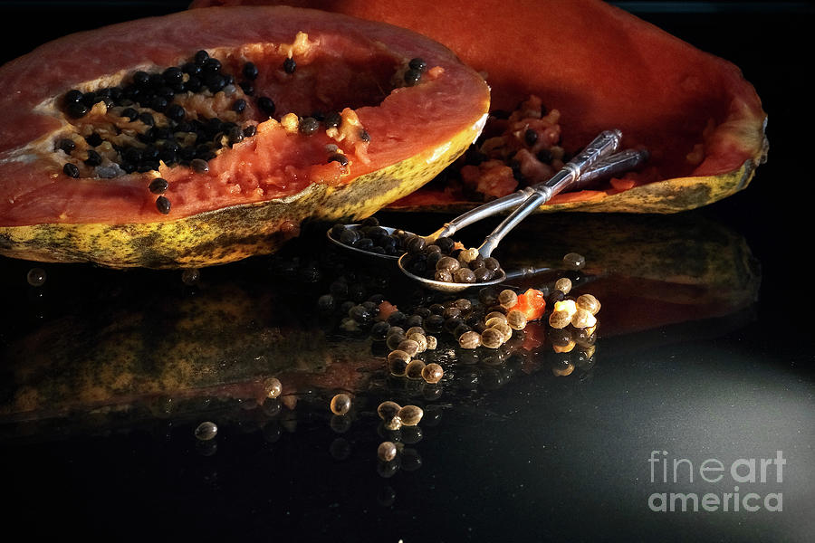Still Life - Papaya - Antique Spoons  Photograph by Elisabeth Derichs