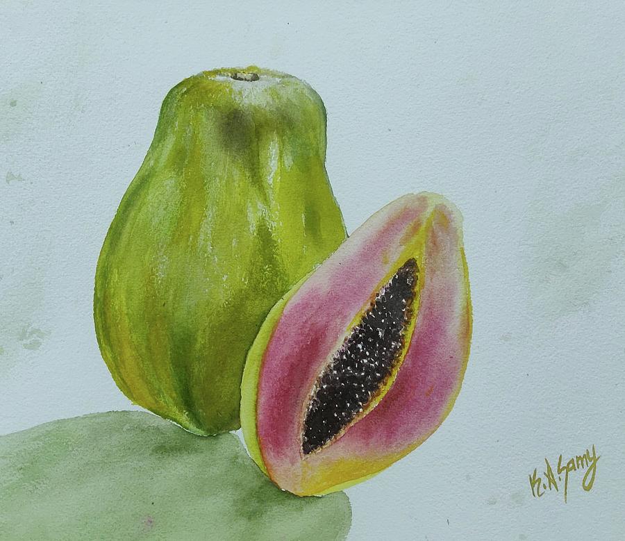 Papaya or Papaw Set. Hand-drawn Fruits - Papayas on the White Background.  Real Watercolor Drawing. Stock Illustration - Illustration of delicious,  paint: 71011304