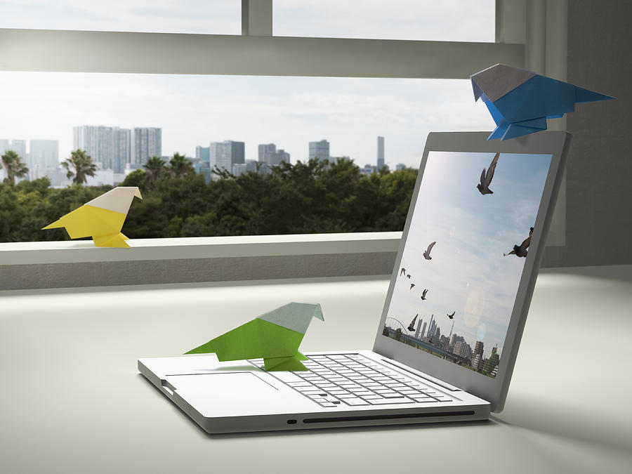 Paper bird is tweeting with a laptop PC Photograph by Hiroshi Watanabe
