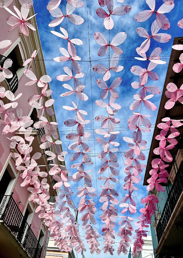 Paper butterflies Photograph by Nora Martinez