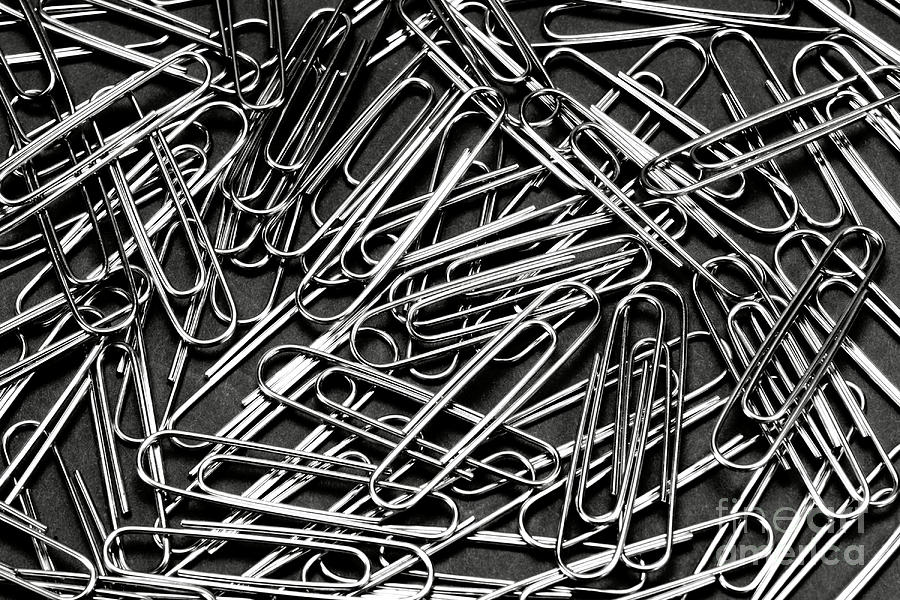 Paper Clips Photograph by Olivier Le Queinec