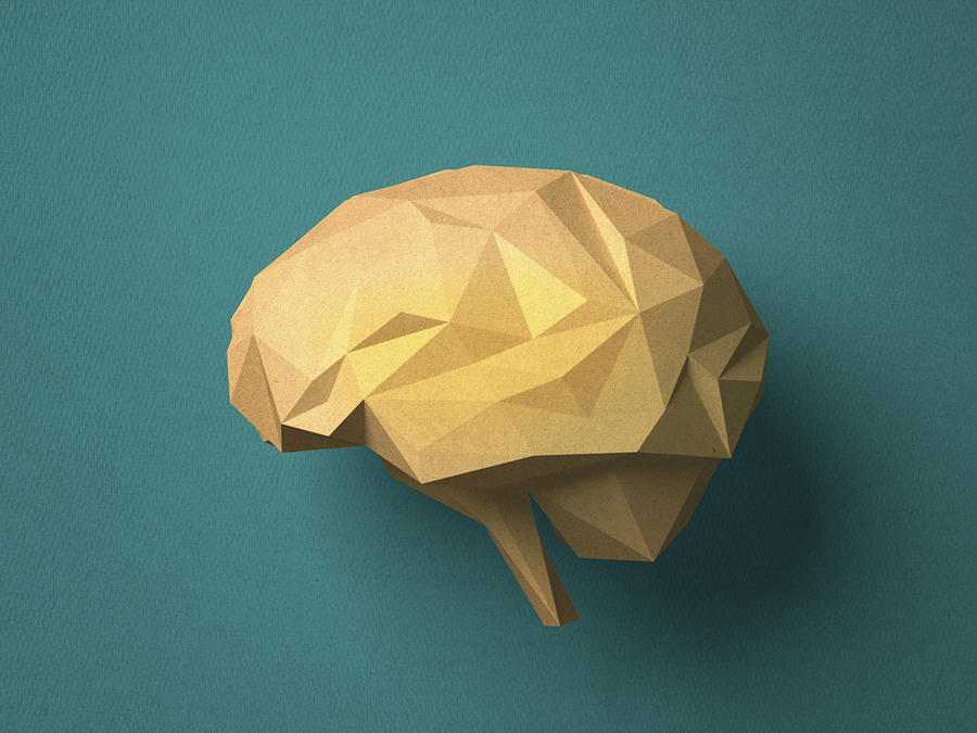 Paper craft Brain Photograph by Hiroshi Watanabe