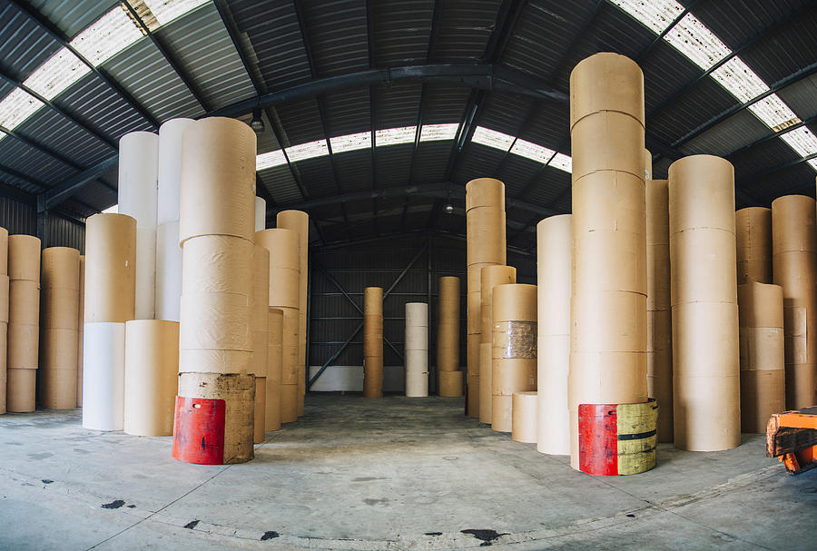 Paper roll warehouse Photograph by MarioGuti