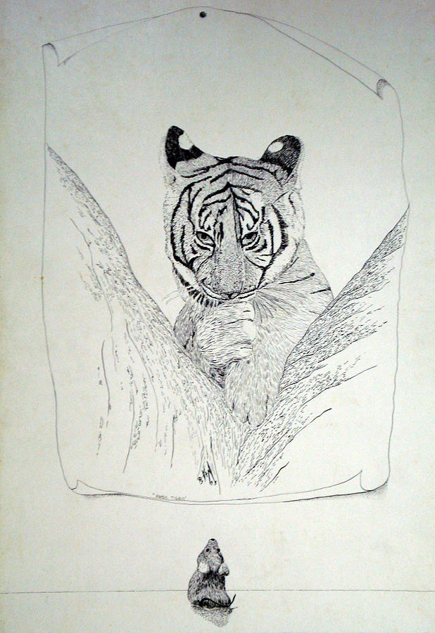 Mouse Drawing - Paper Tiger by A  Robert Malcom