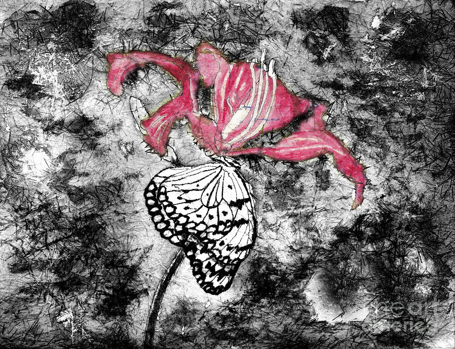 Paperwhite Butterfly In Selective Color From Watercolor Batik Digital Art