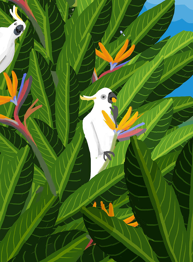 Paradise Cockatoos Digital Art by Donna Huntriss
