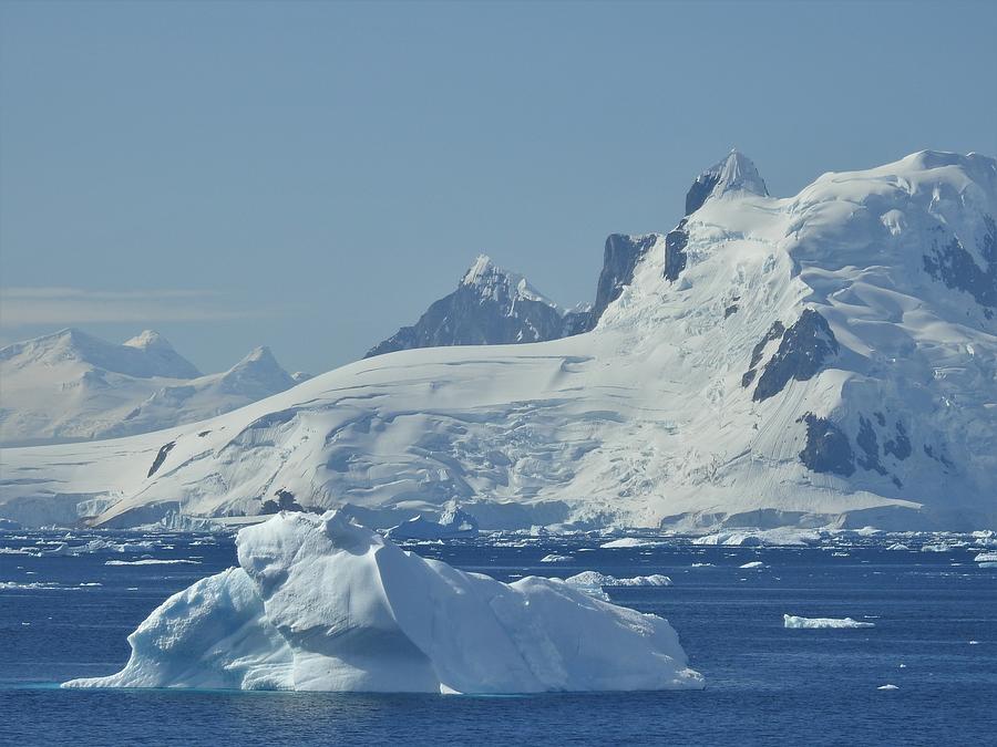 Paradise Harbor, Antarctica Photograph by Barbara Ebeling - Pixels